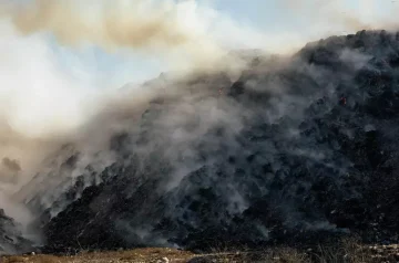 Mercado de crédito de carbono é aprovado no Senado